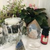 0039-Altar da Nova Era-Conexão Angelical-Ponta Bruta Angelita, 01 Pedra Rolada Cristal, 01 Ponta Lápis Lazuli, Essência de Lirio, Porta Vela Cristal, Vela Hibiscus