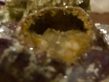 102-Super Drusa de Ametista, Calcita com Círculo e Caverna de Mini Pirâmides de Citrino-Poder Sexual, Empoderamento, Foco, Transmutação, Equílibrio, Prosperidade, Alegria pela Vida e Proteção - Image 5