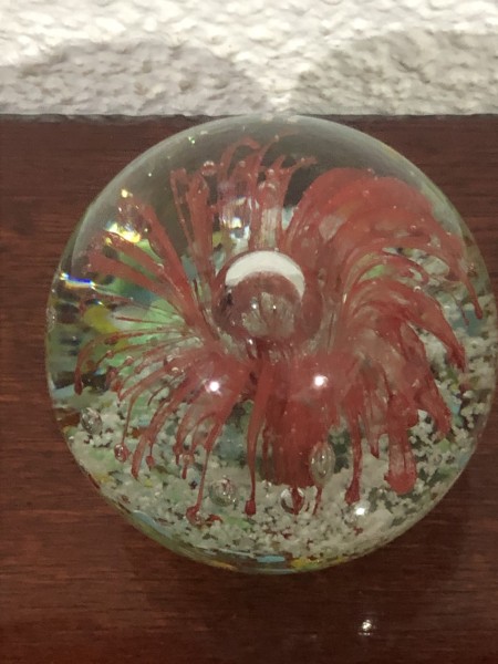 165-Peso de Papel de Cristal Murano Floresta Marinha Vermelha -Feito 100% Artesanalmente utilizando uma técnica milenar surgida em 5000 AC em Rio Belo na Síria. - Image 4
