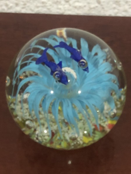 164-Peso de Papel de Cristal Murano Floresta Marinha Azul-Feito 100% Artesanalmente utilizando uma técnica milenar surgida em 5000 AC em Rio Belo na Síria. - Image 6