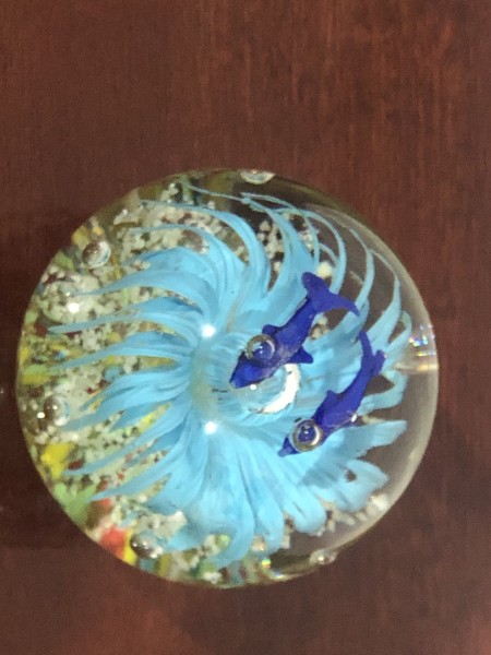164-Peso de Papel de Cristal Murano Floresta Marinha Azul-Feito 100% Artesanalmente utilizando uma técnica milenar surgida em 5000 AC em Rio Belo na Síria. - Image 5